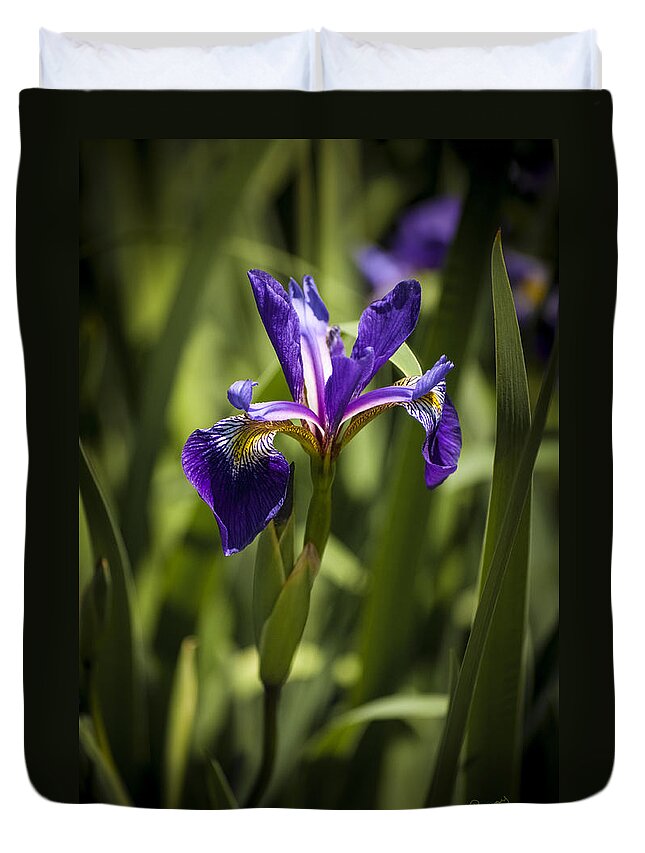 Background Duvet Cover featuring the photograph Purple Iris by Penny Lisowski