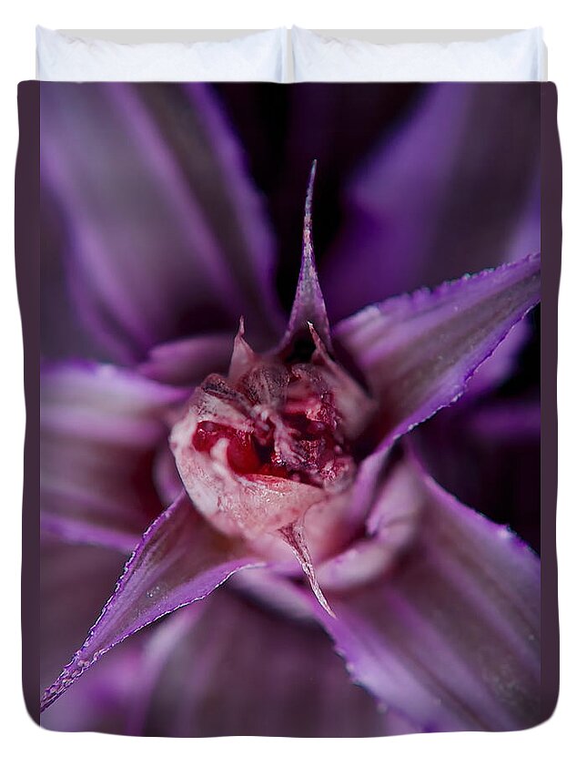 Leaf Duvet Cover featuring the photograph Purple Leaf by Michelle Meenawong