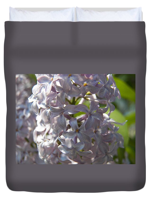 Lilacs Duvet Cover featuring the photograph Purple Lilacs IV by Corinne Elizabeth Cowherd