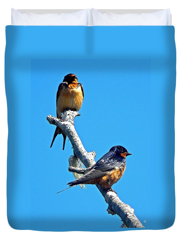 Purple Martins Duvet Cover featuring the digital art Purple Martins at Rest by Gary Olsen-Hasek