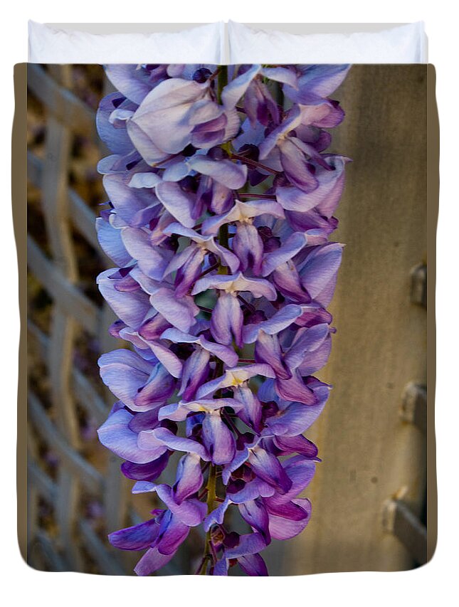  Duvet Cover featuring the photograph Purple Orchid Like Flower by James Gay