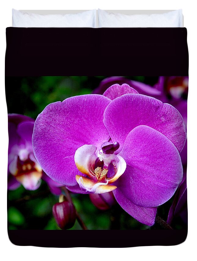 Orchid Duvet Cover featuring the photograph Purple Orchid by Rona Black