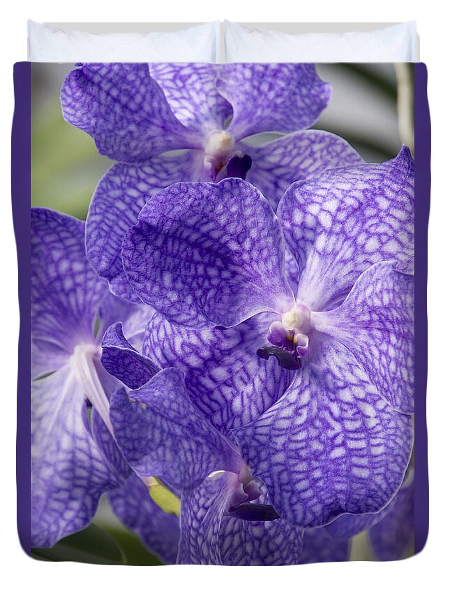 Orchids Duvet Cover featuring the photograph Purple orchids by Elena Perelman