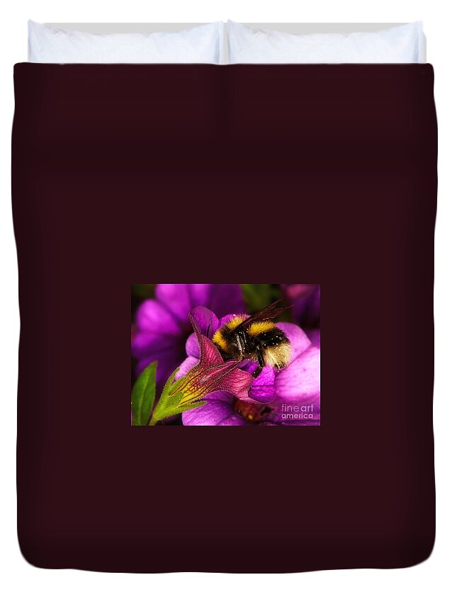 Purple Duvet Cover featuring the photograph Purple petunias with a bumblebee by Nick Biemans
