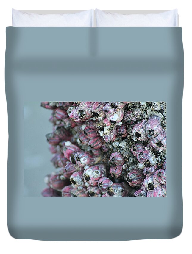 Purple Barnacle Clusters Duvet Cover featuring the photograph Purple Pier by Jessica Brown