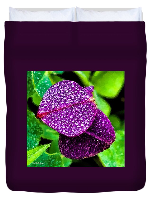 Clover Canvas Print Duvet Cover featuring the photograph Purple Shimmer by Lucy VanSwearingen