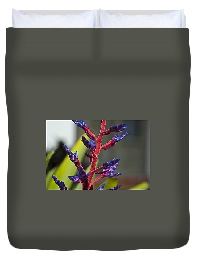 Bromeliad Duvet Cover featuring the photograph Purple Spike Bromeliad by Sharon Cummings