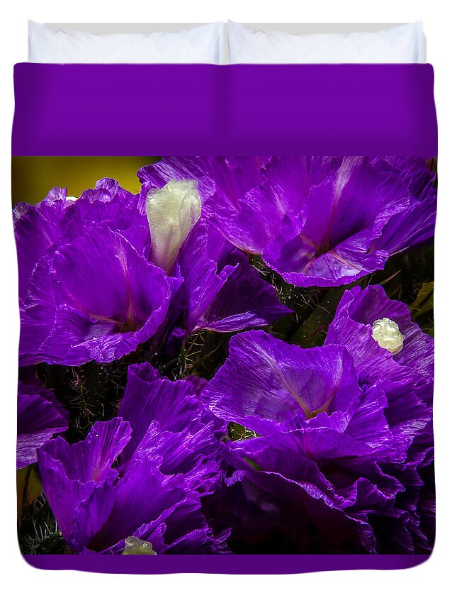 Flower Duvet Cover featuring the photograph Purple Statice by Ron Pate