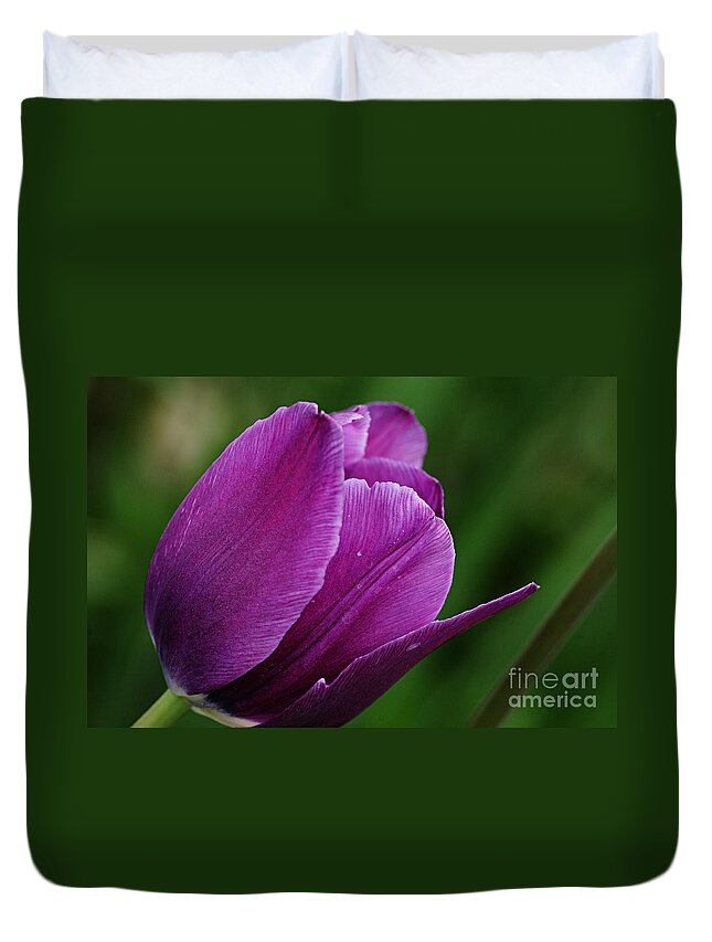 Photography Duvet Cover featuring the photograph Purple Tulip by Larry Ricker