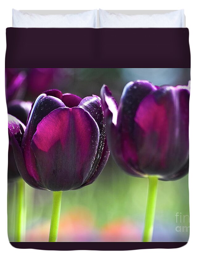 Tulip Duvet Cover featuring the photograph Purple tulips by Heiko Koehrer-Wagner