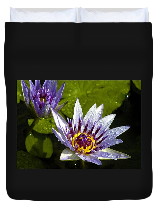 Hawaii Duvet Cover featuring the photograph Purple Water lily Dew by Lehua Pekelo-Stearns