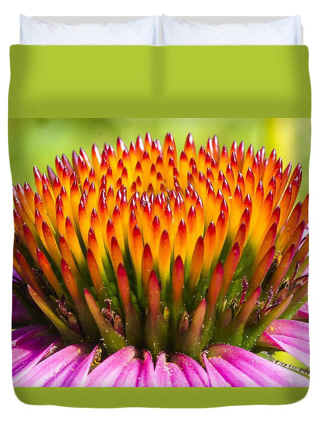 Pollen Duvet Cover featuring the photograph Purple Cone Flower - Echinecea by Steven Ralser
