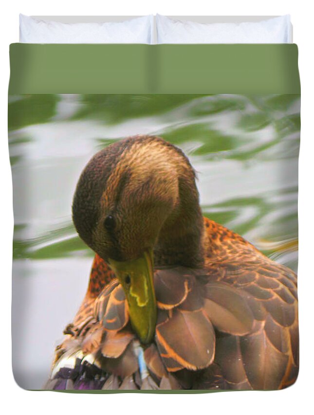 Nature Duvet Cover featuring the photograph Mallard Duck In Central Park by Charlie Cliques