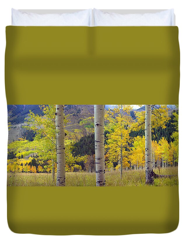 Feb0514 Duvet Cover featuring the photograph Quaking Aspen Grove In Autumn Colorado by Tim Fitzharris