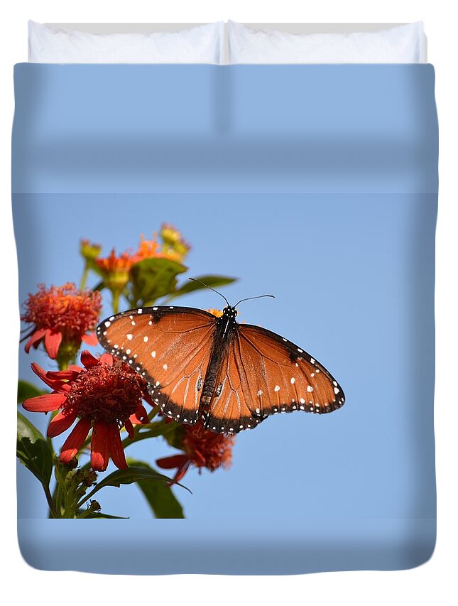 Queen Butterfly Duvet Cover featuring the photograph Queen Butterfly by Debra Martz
