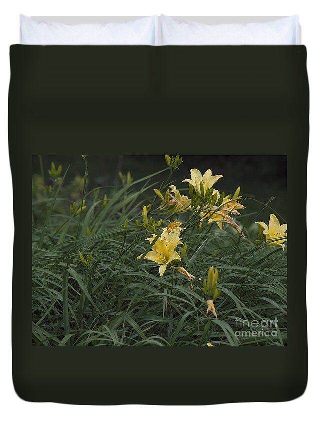 Botanical Duvet Cover featuring the photograph Queen's Garden-3 by David Fabian