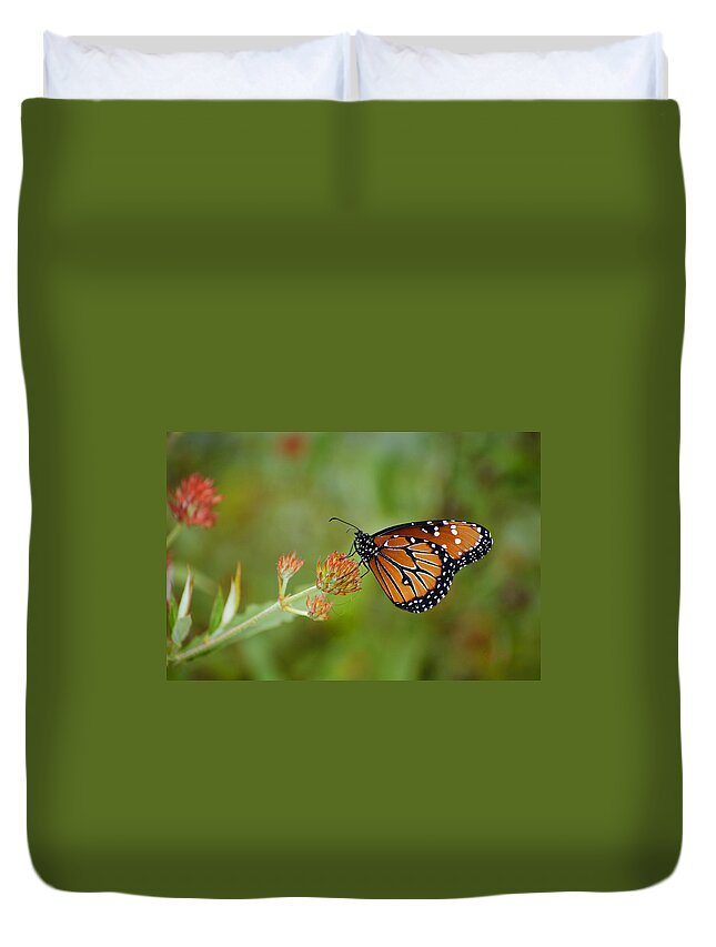 :penny Lisowski Duvet Cover featuring the photograph Quick Pose by Penny Lisowski