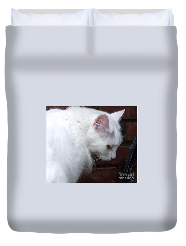 Cat Duvet Cover featuring the photograph Quiet cat by Andrea Anderegg