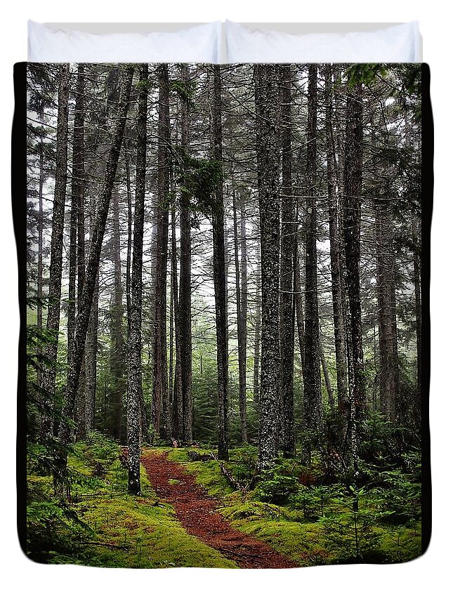 Woods Duvet Cover featuring the photograph Quiet Woods by Karin Pinkham