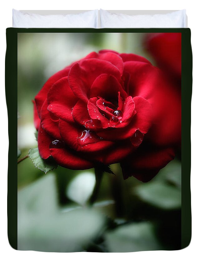 Red Rose Duvet Cover featuring the photograph Quietly My Tears Fall by Michael Eingle