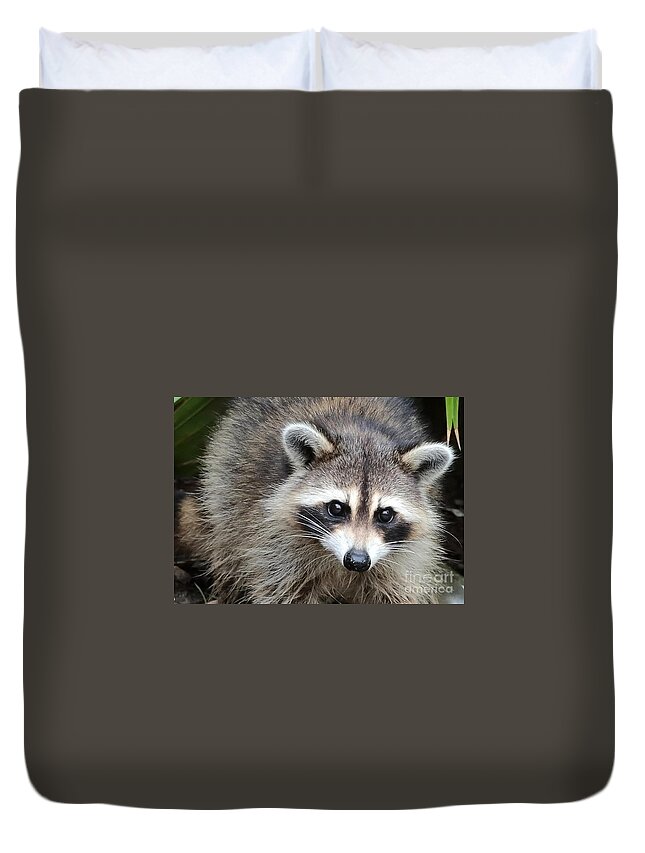 Raccoon Duvet Cover featuring the photograph Raccoon Eyes by Carol Groenen