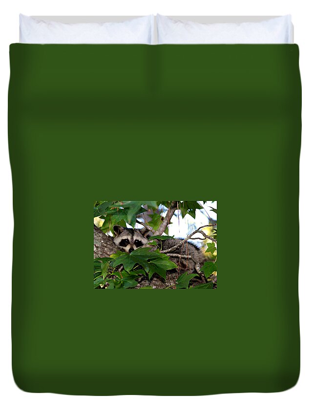  Duvet Cover featuring the photograph Raccoon Eyes by Matalyn Gardner