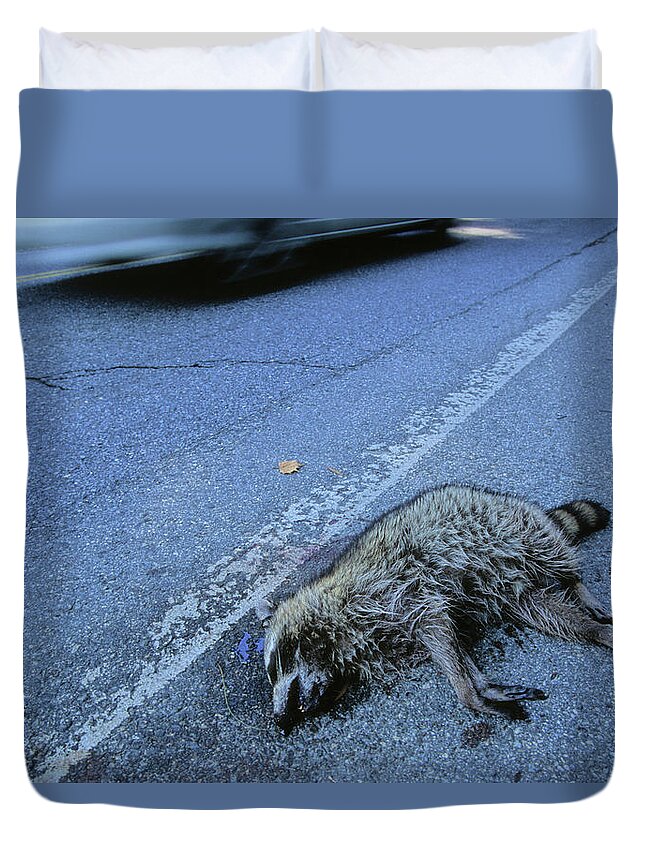 Animal Duvet Cover featuring the photograph Raccoon Roadkill, Montgomery County, Md by Peter Essick