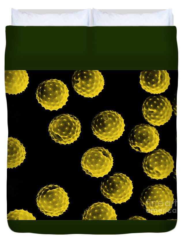Botany Duvet Cover featuring the photograph Ragweed Pollen Sem by David M. Phillips