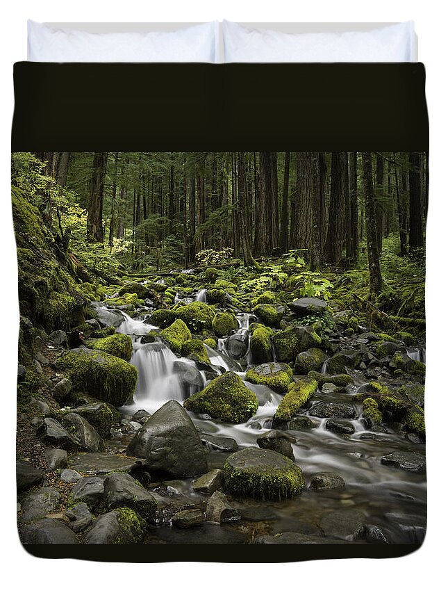 Rain Forest Duvet Cover featuring the photograph Rain Forest Falls by Jonathan Davison