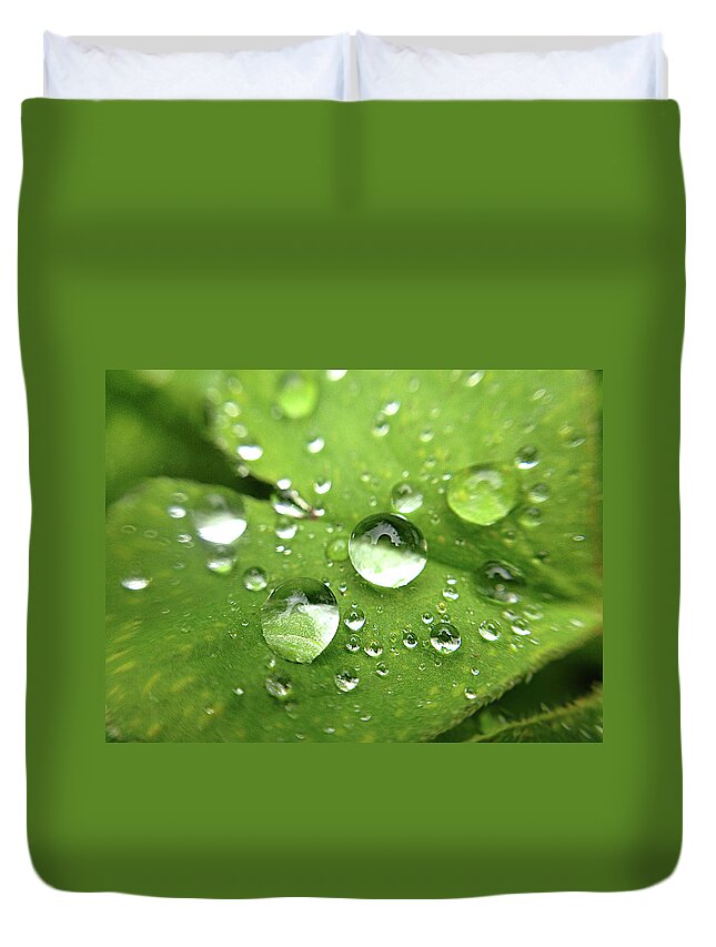 England Duvet Cover featuring the photograph Rain On Leaf by Kelly Loughlin Photography