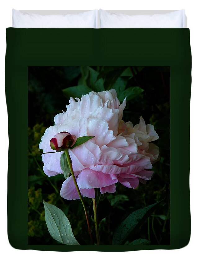 Peony Duvet Cover featuring the photograph Rain-soaked Peonies by Rona Black