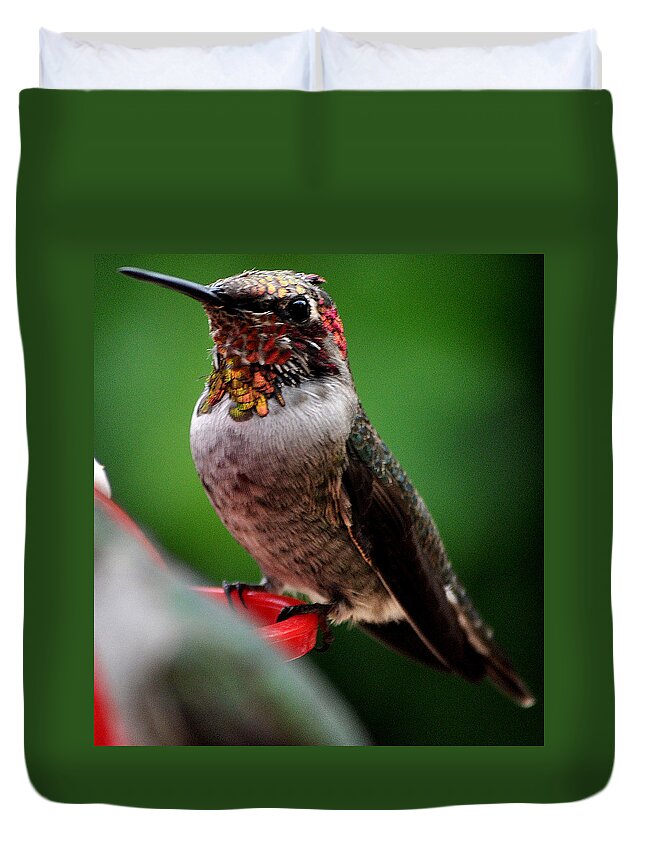 Hummingbird Duvet Cover featuring the photograph Rainbow Colored Male Anna by Jay Milo