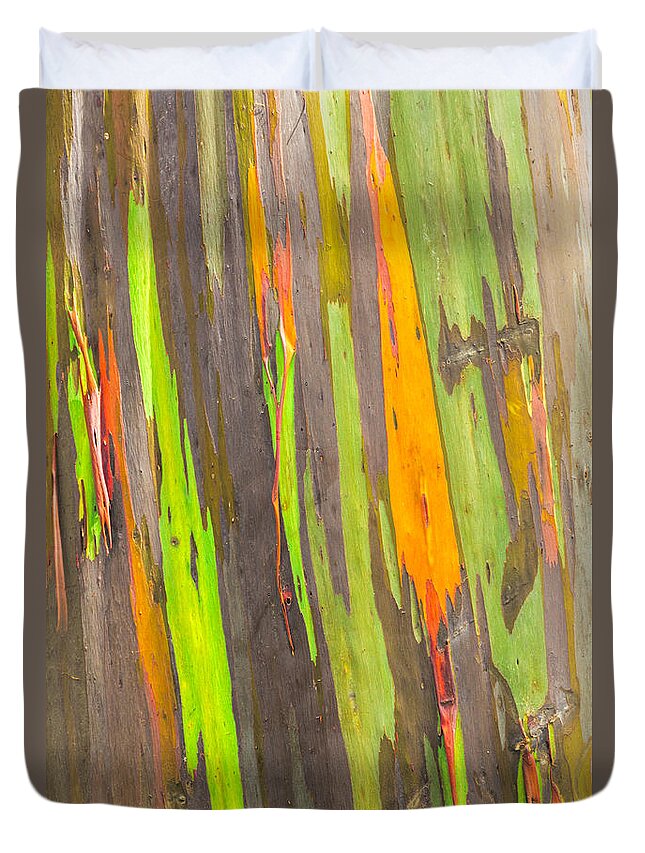 Abstract Duvet Cover featuring the photograph Rainbow Eucalyptus 3 by Leigh Anne Meeks