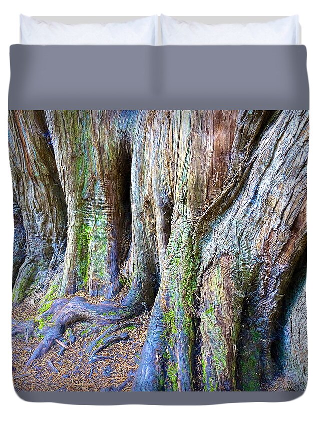 Tree Duvet Cover featuring the photograph Rainbow Tree by Norma Brock