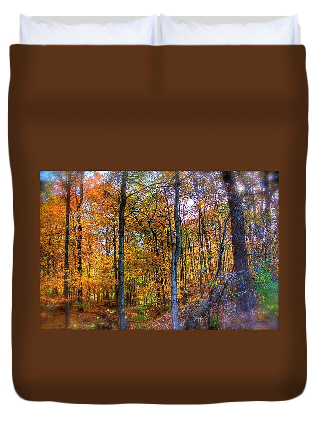 Autumn Duvet Cover featuring the photograph Rainbow Woods by Andrea Platt