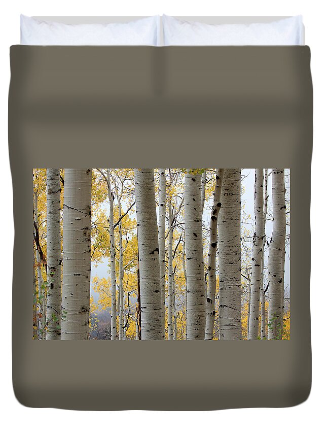 Autumn Colors Duvet Cover featuring the photograph Rainy Day Aspen by Jim Garrison
