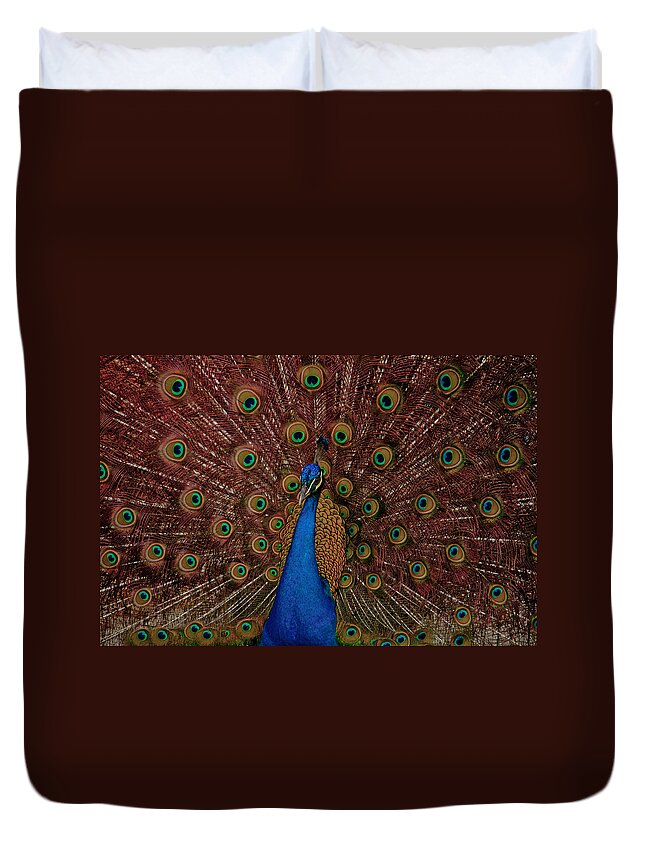 Peacock Duvet Cover featuring the photograph Rare pink tail peacock by Eti Reid