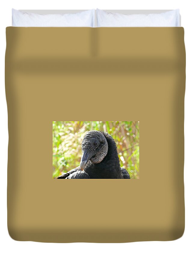Wildlife Duvet Cover featuring the photograph Raven-Vulture by Amanda Mohler