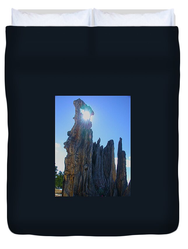 Tree Duvet Cover featuring the photograph Rays Beyond by Shane Bechler