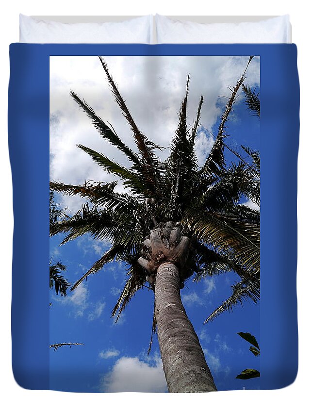 Palm Duvet Cover featuring the photograph Reaching For The Sky by Christiane Schulze Art And Photography