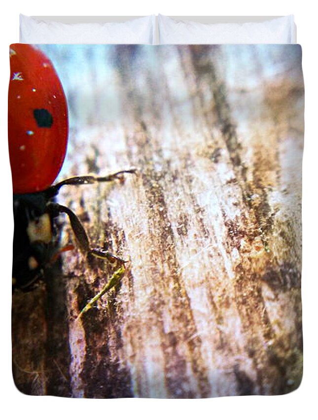 Lady Bug Macro Duvet Cover featuring the photograph Ready For Take Off by Peggy Franz