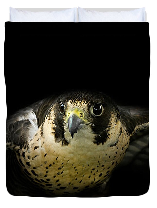 Falcons Duvet Cover featuring the photograph Ready for the hunt by Bill Wakeley