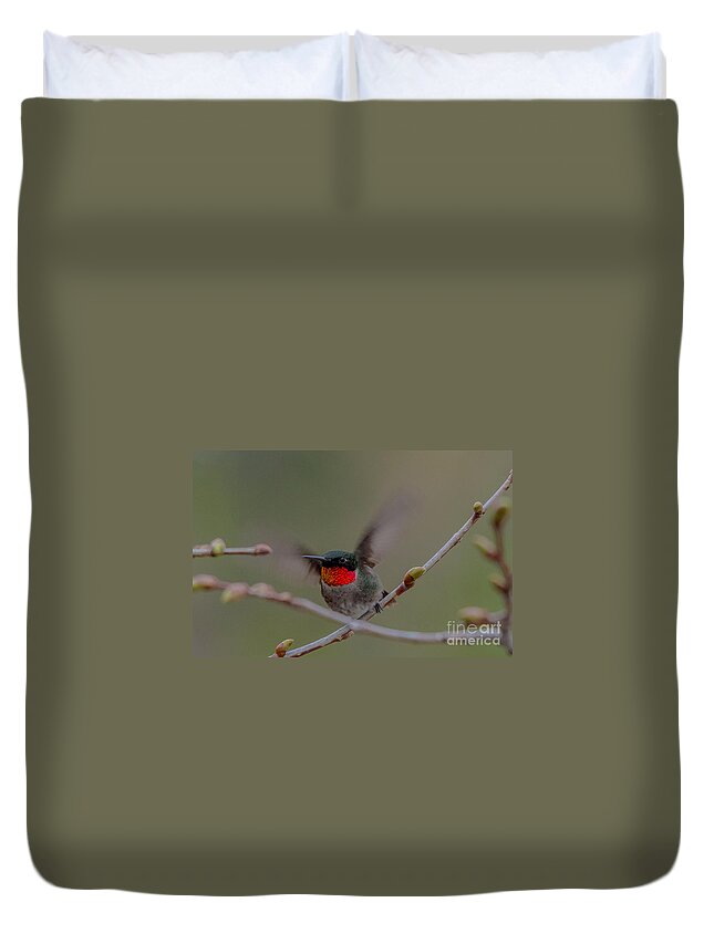 Landscape Duvet Cover featuring the photograph Ready to Fly by Cheryl Baxter