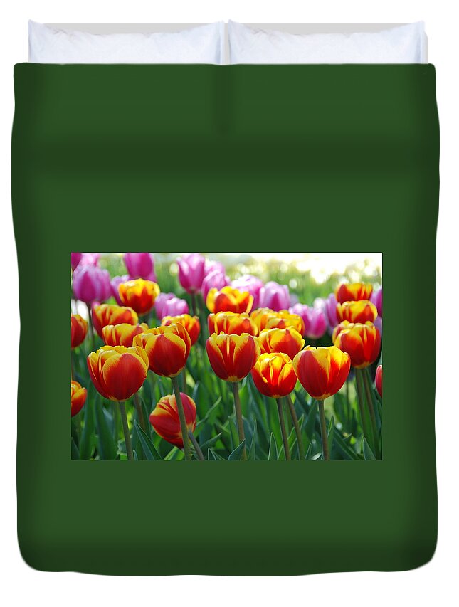 Background Duvet Cover featuring the photograph Red and Yellow Tulips by Allen Beatty