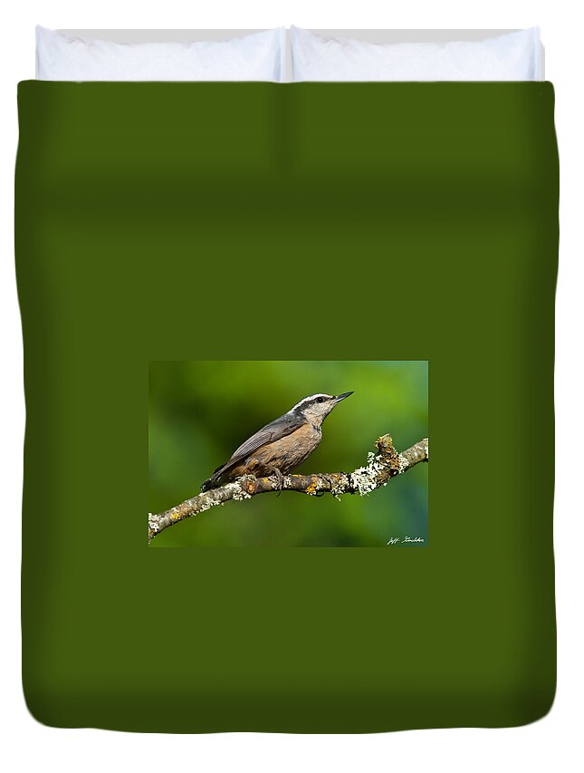 Animal Duvet Cover featuring the photograph Red Breasted Nuthatch in a Tree by Jeff Goulden