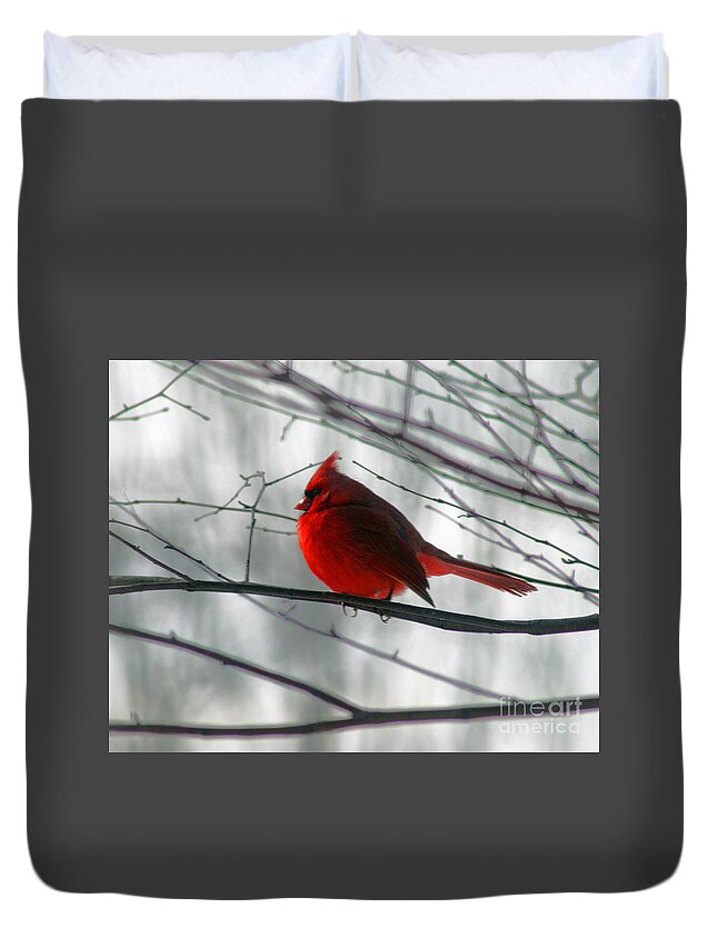 Cardinal Duvet Cover featuring the photograph Red Cardinal on Winter Branch by Karen Adams