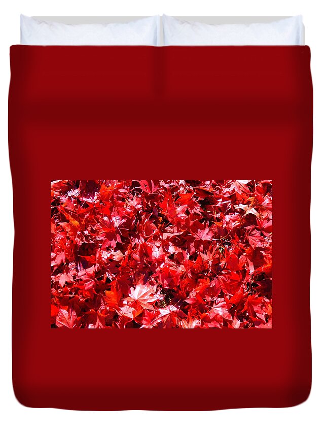 Fall Duvet Cover featuring the photograph Red Carpet by Joseph Desiderio