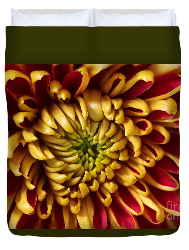 Chrysanthemum Duvet Cover featuring the photograph Red Chrysanthemum by Matt Malloy