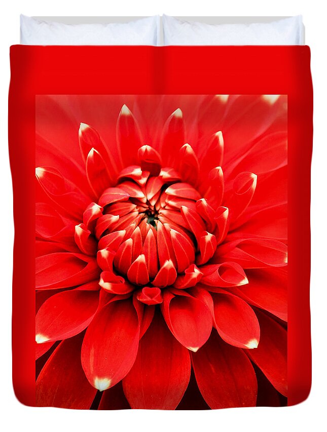 Dahlia In Bloom Duvet Cover featuring the photograph Red Dahlia with White Tips by E Faithe Lester