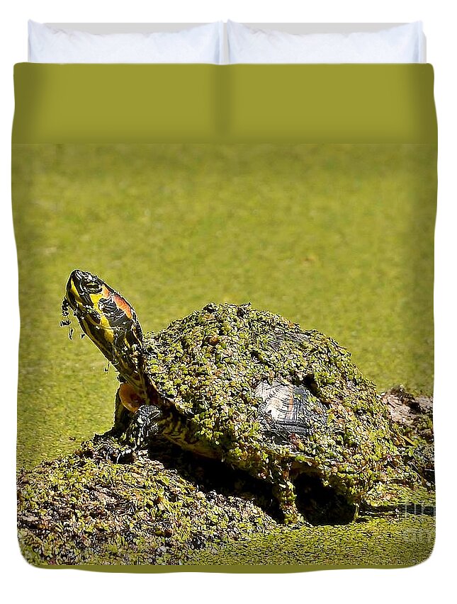 Turtle Duvet Cover featuring the photograph Red Eared Slider Turtle by Kathy Baccari